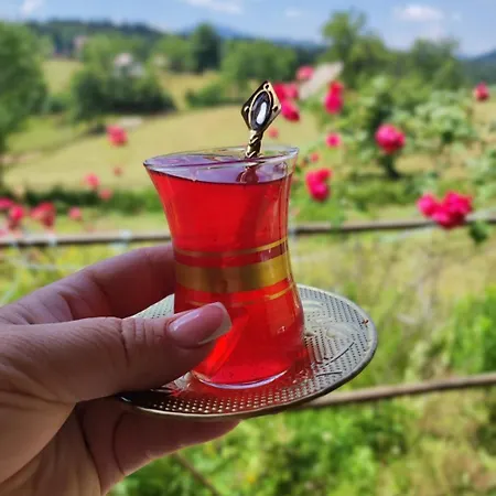 Vikedica Blagojevic *